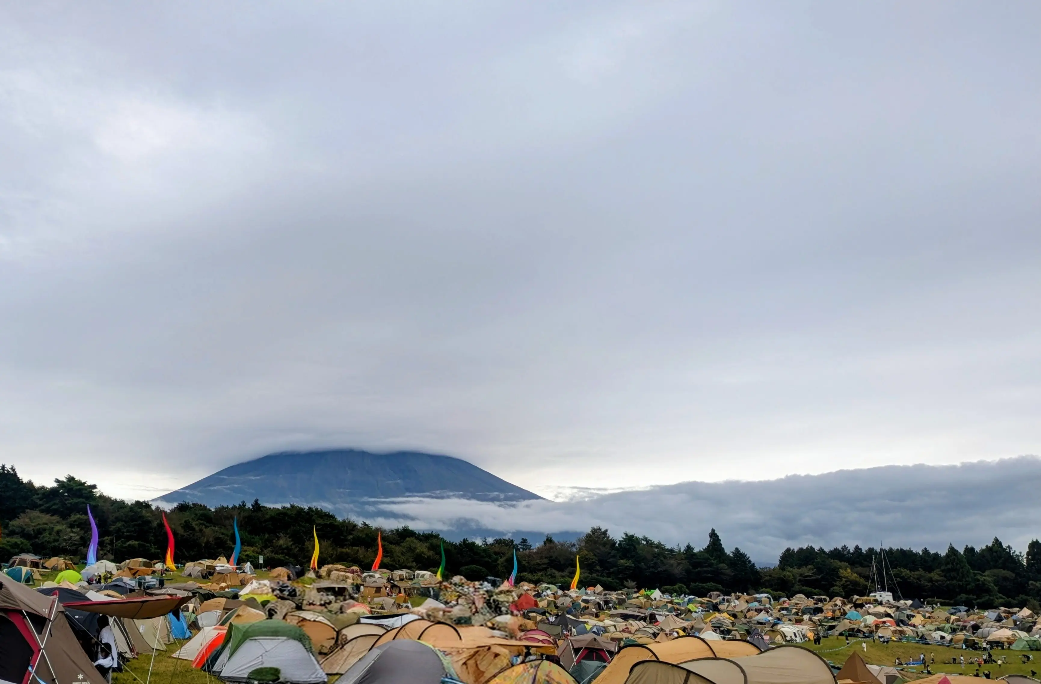 cover image from Unsplash